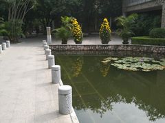 -影汇之星8字形摩天轮