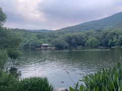 -紫霞湖公园