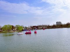 -上海长兴岛郊野公园