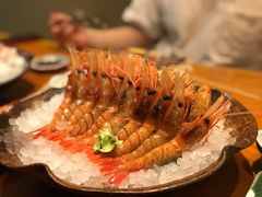 -月龍吟(朝龙汇店)