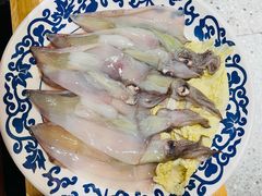 带籽笔管-东镇老火锅(长春路首店)