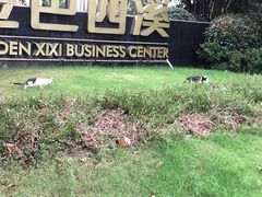 -西溪国家湿地公园