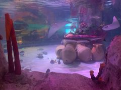 -沈阳海洋探索中心