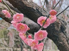 -静安雕塑公园