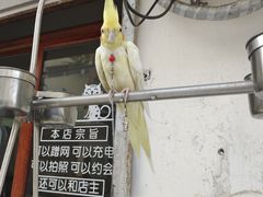 -白佛花鸟鱼虫批发市场小型宠物交易(东区)