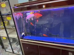 -宝德龙游泳健身