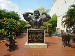 -马六甲鸡场街