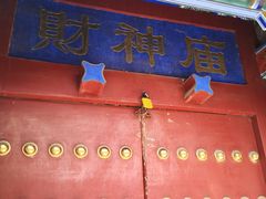 -黄瓦增福财神庙