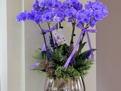 -F.Story 花和故事(新天地店)