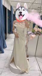 点击看大图 -GRACE KELLY婚纱与礼服(北京店)