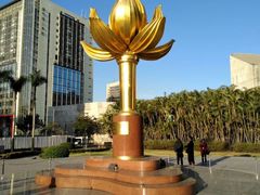 -金莲花广场