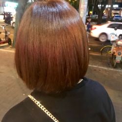 -可可丽舍