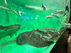 -太平洋海底世界