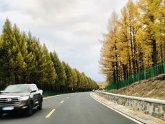 -塞罕坝国家级自然保护区