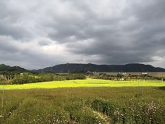 -光明小镇欢乐田园