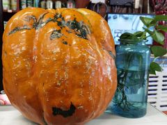 -京玉菲饭店(李村店)