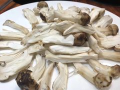 -顺德了能馆(虎门店)