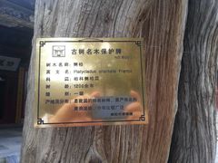 -南阳卧龙岗武侯祠