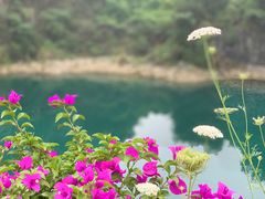 -铜锣山矿山公园