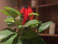 -和悦SPA·采耳(聚丰园路店)