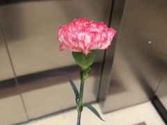 -中影星美国际影城(南山云城店)