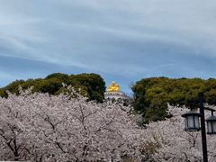 -苏州上方山国家森林公园