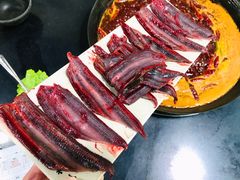 -铜元老码头鳝鱼火锅