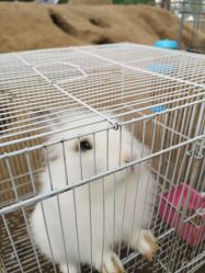 -前小桔亲子创意农场·草莓采摘·露营烧烤