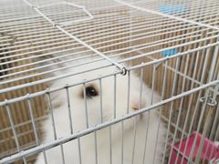 -前小桔亲子创意农场·草莓采摘·露营烧烤