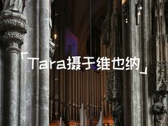 -斯蒂芬主教座堂(Stephansdom)