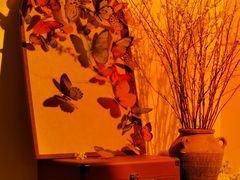 -小银家日式简餐(中信丹阳花园店)