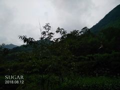 -藏龙百瀑风景区