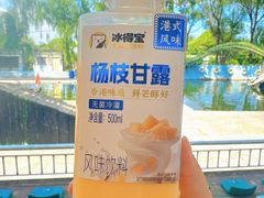 -白洋淀景区
