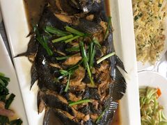 -宾朋海鲜特色美食餐厅·纯手工鲅鱼水饺(兴海路店)