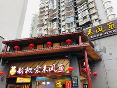 -新概念来凤鱼(璧山店)