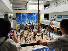 -中国地质大学逸夫博物馆