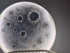 -BABANA烧烤·龙虾·海鲜