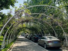 -罗红摄影艺术馆