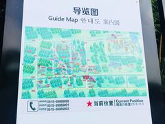 -黄海国家森林公园