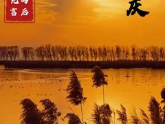 -野鸭湖国家湿地公园