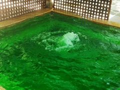 -春晖园度假酒店温泉