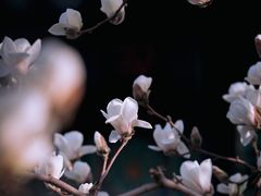 -颐和园