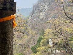 -北京鹫峰国家森林公园