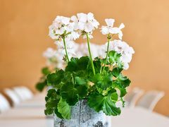 -老昌春饼(大直街店)