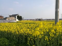 -南京众彩农副产品配送有限公司