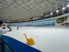 -世界之窗阿尔卑斯冰雪世界