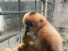 -昆明动物园