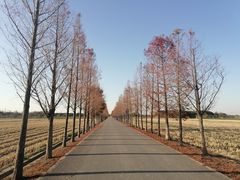 -嘉北郊野公园