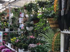 -秦美花卉(天朗·莱茵小城2期店)