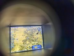 -侏罗纪世界电影特展(广州站)